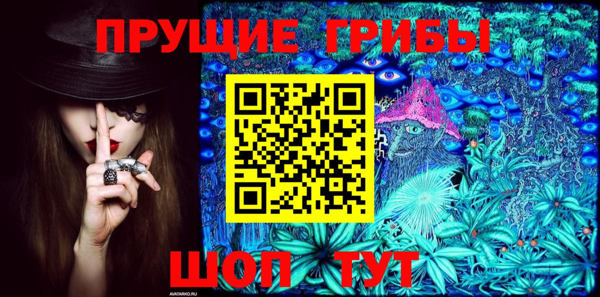 Галлюциногенные грибы Psilocybine cubensis Ивантеевка